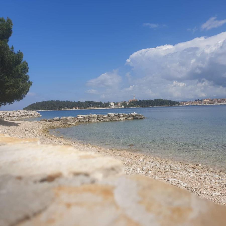 Tena Croatia Apartment